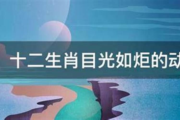 八字财星是什么意思