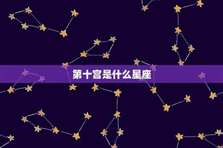 第十宫是什么星座