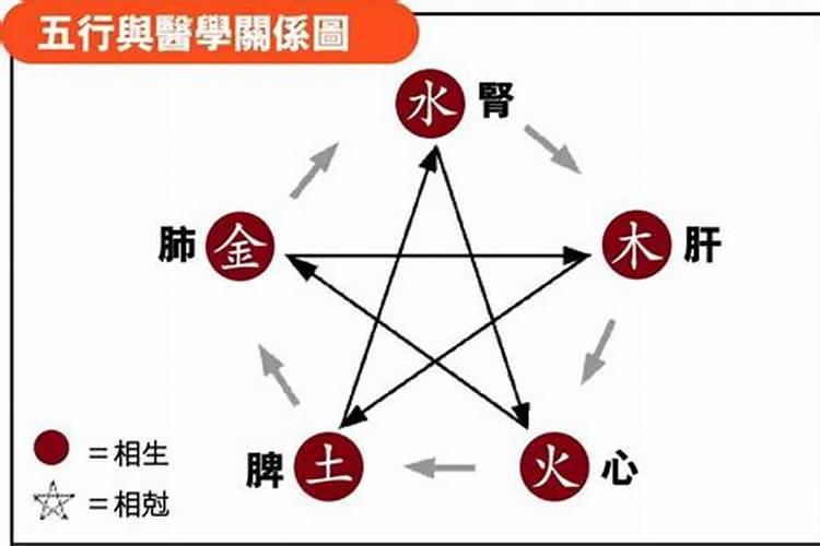 梦见有公鸡和母鸡