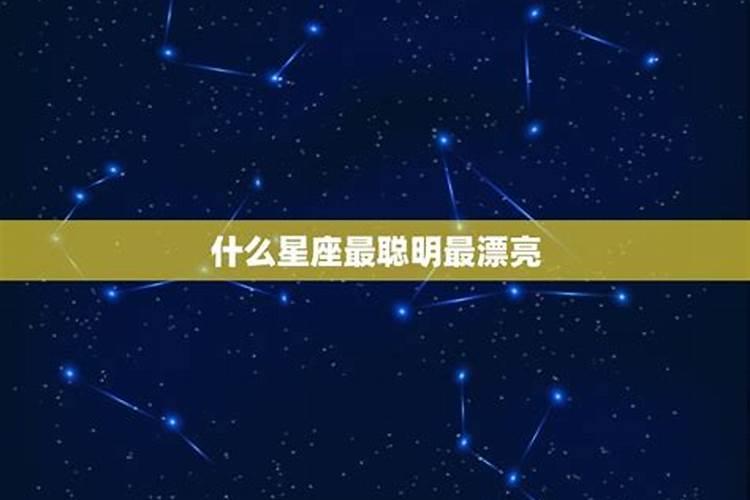 什么星座最聪明最漂亮