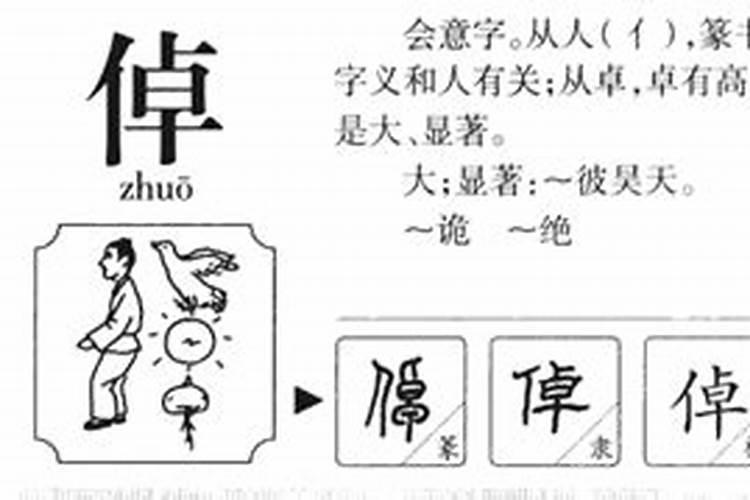 琸字五行属什么