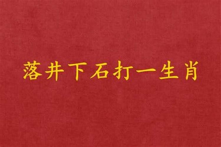 落井下石代表什么生肖