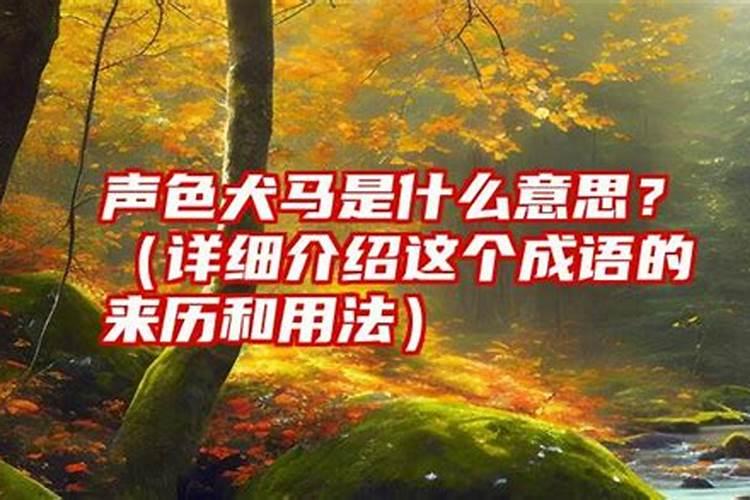 声色犬马是什么意思指什么生肖