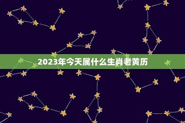 阳历11月18日是什么星座