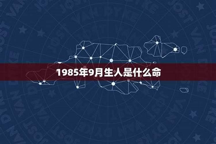 1985年是什么星座