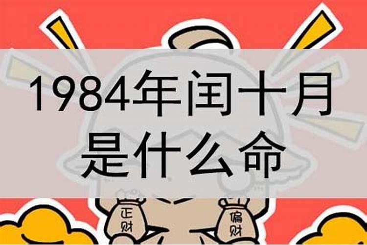 53今年属什么生肖属相