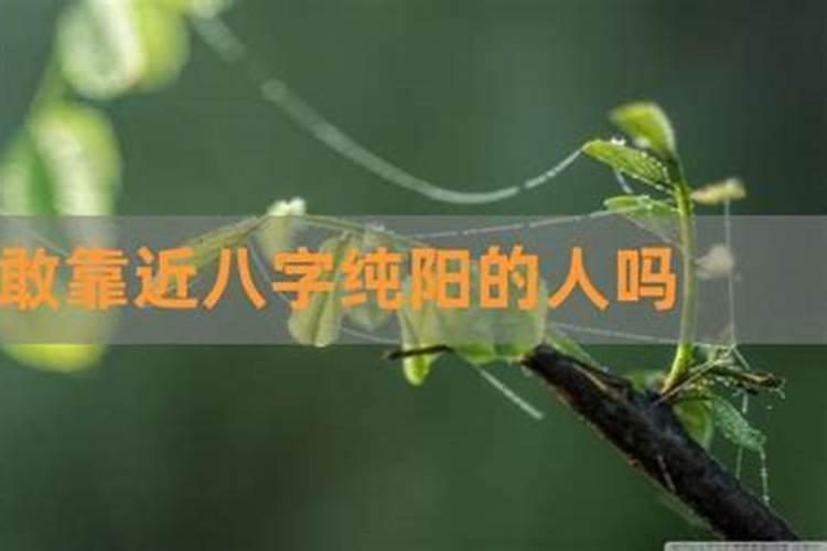 梦见好多乌龟是什么意思,好不好,代表什么