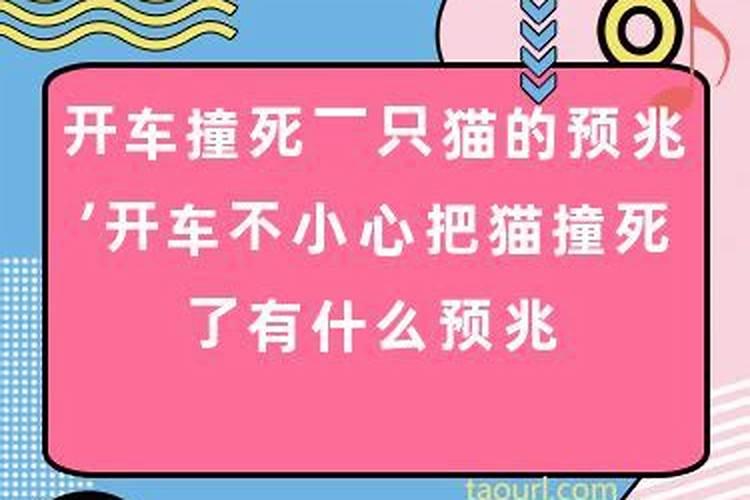 八字命盘看有几个子女