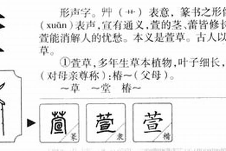 蓁字五行属什么的