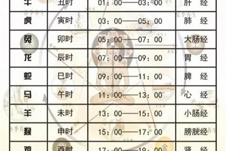 91年5月12号是什么星座