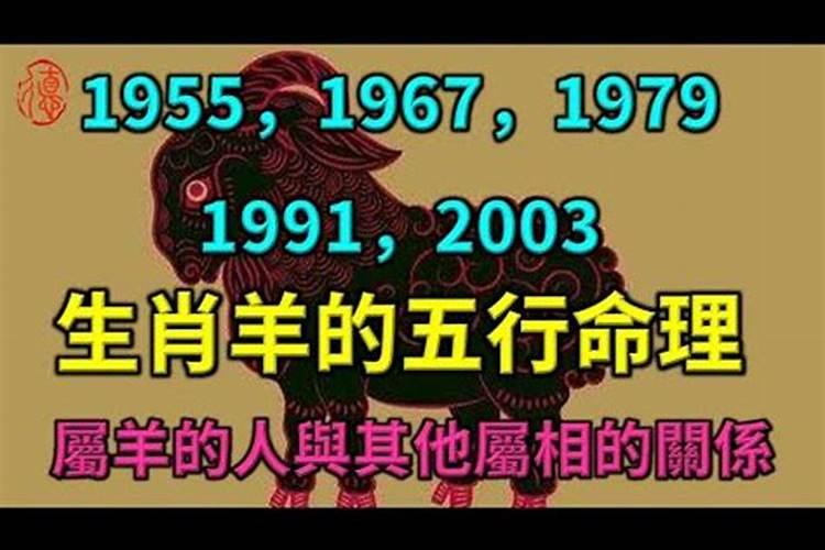 1979年羊五行属什么