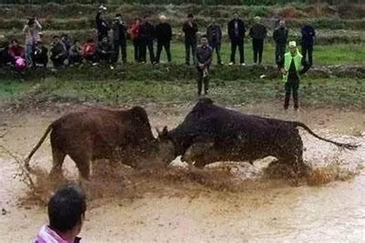 财神在什么位置好