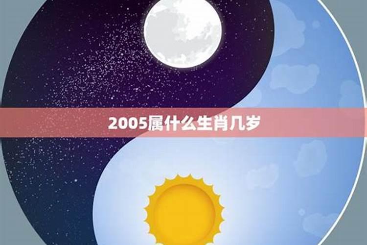 2005年属什么生肖几岁