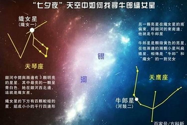 牛郎星属于什么星座