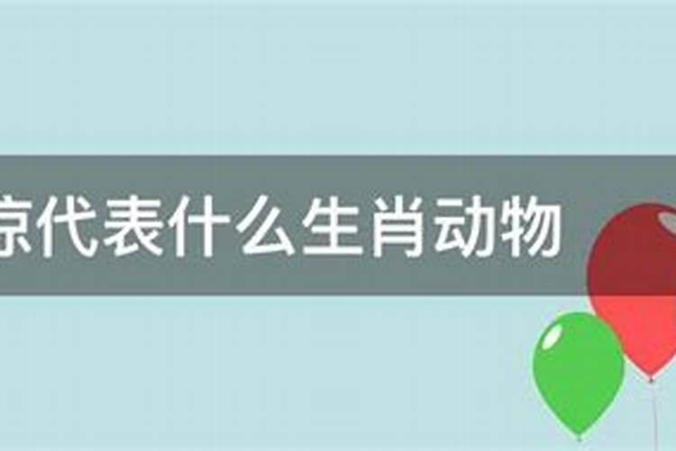 属鸡2023年的运势及运程每月运程详解