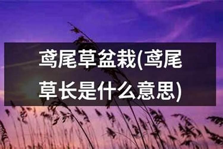 命里水多的女人要注意什么