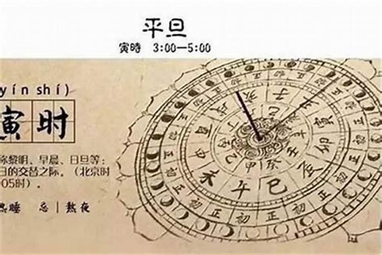 比蛇大14岁属什么生肖