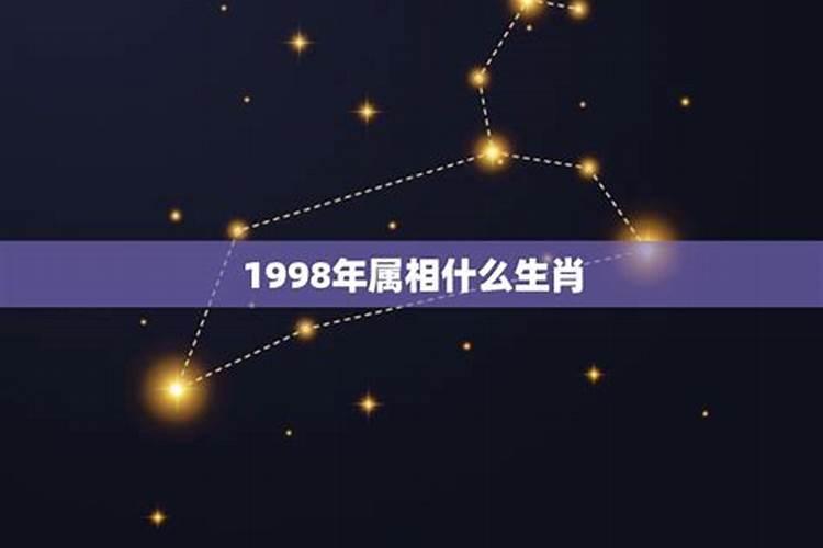 1998年属什么生肖