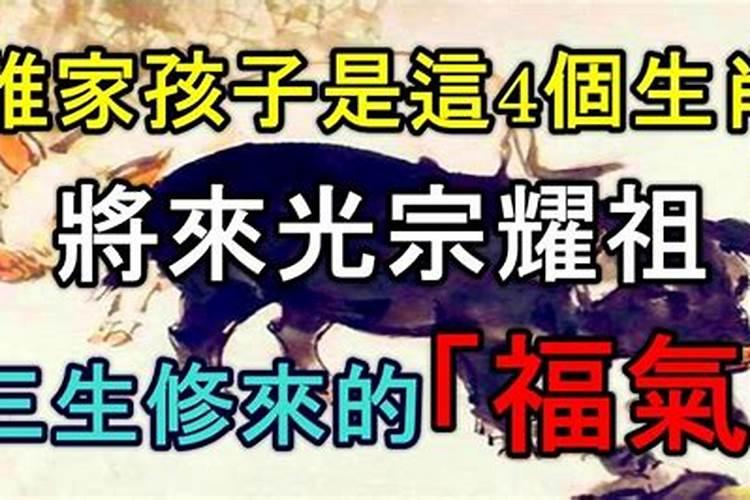 属相狗出生年份