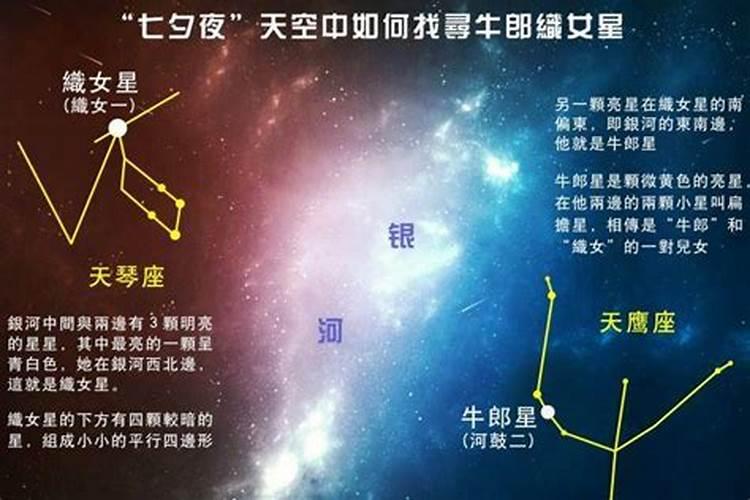 天经地义是什么生肖2021年3月2日