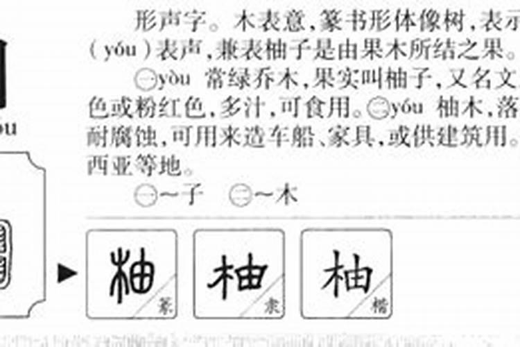 柚字五行属什么