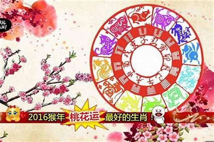 哪个生肖桃花运最好