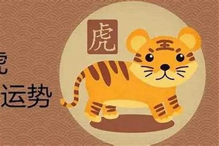 生肖猪2023年的运势1971