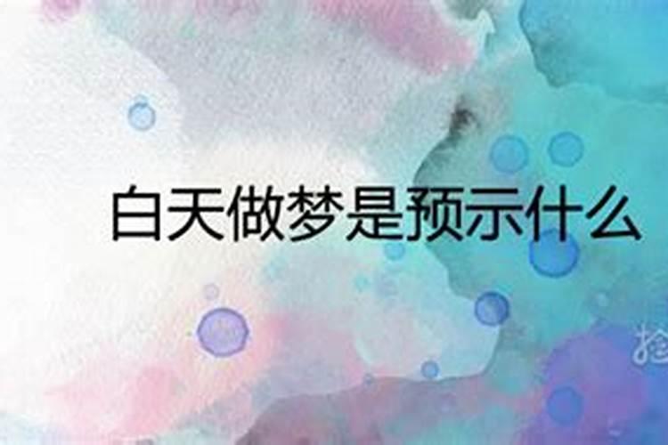 梦见海参活着的样子