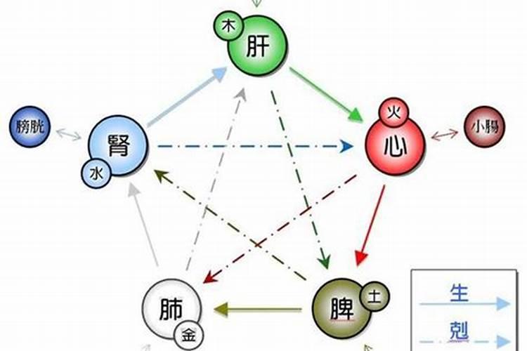 日历怎么查属相五行属性是什么