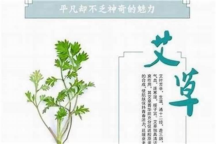 孕妇做梦梦到茄子是什么意思