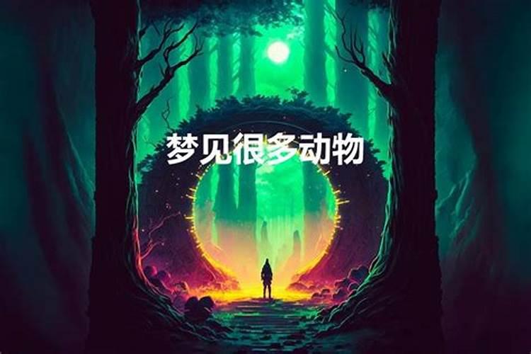 连续两天梦到老公出轨离婚