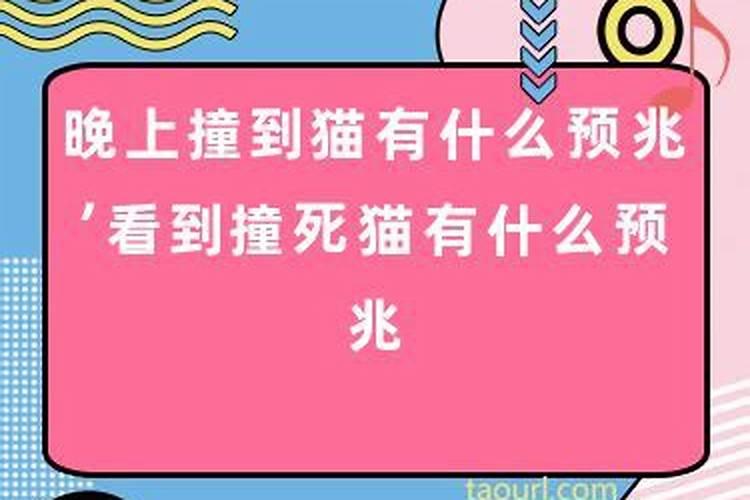 梦见豹子是什么寓意