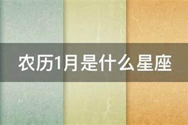 梦见抓到四只野鸡是什么意思