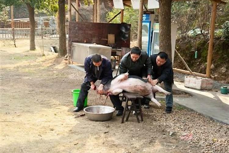 梦见送葬队伍进自己家