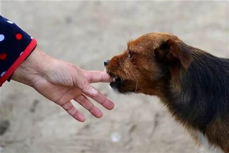 梦到领导得病死了是什么意思