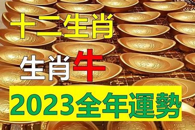 生肖牛2023年运势大全每月