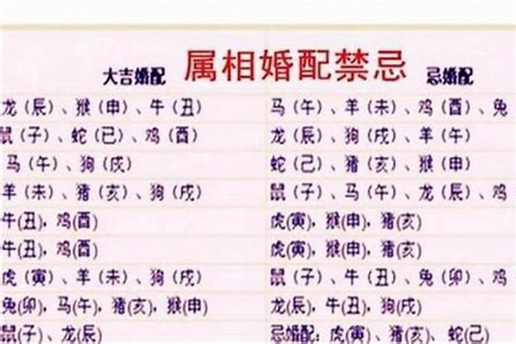 八字算命会折寿吗