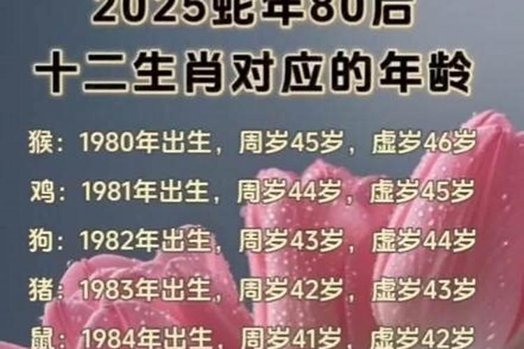 属蛇的多大年龄2023