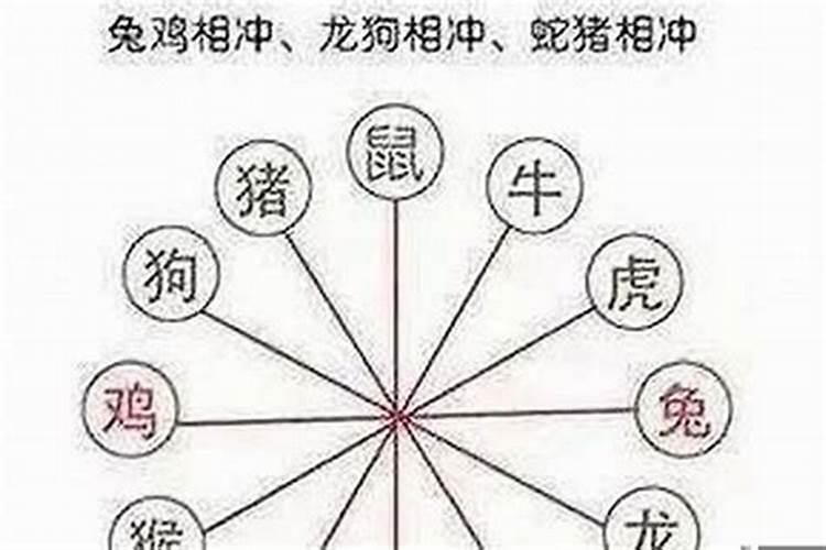 属兔与什么属相相克相害