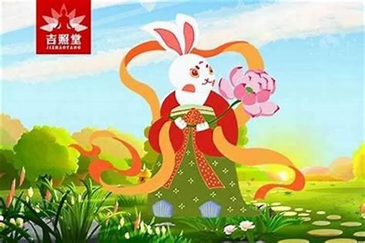 属兔今年穿什么颜色