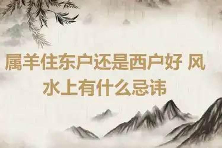 属羊的人住几层楼好