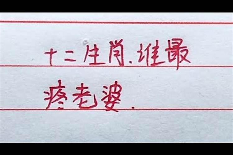 哪个生肖的男人最疼老婆