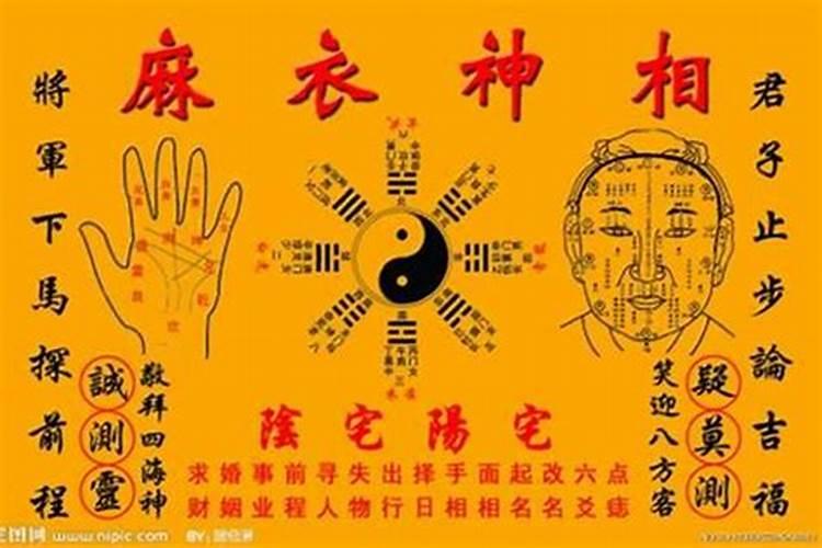 女人梦见蛇是什么梦