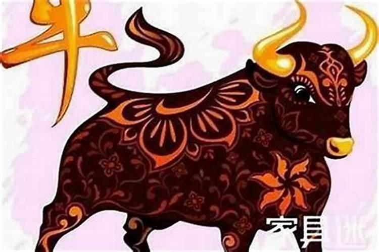 今年属什么的