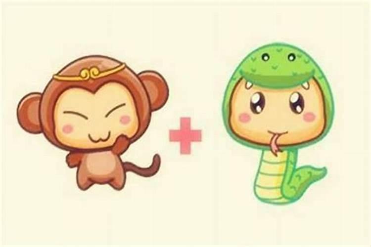 属猴和属蛇的婚姻如何