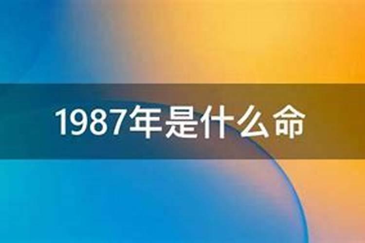 2021年属兔的重大贵人