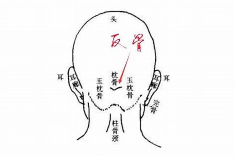 兔年的本命年是哪一年出生