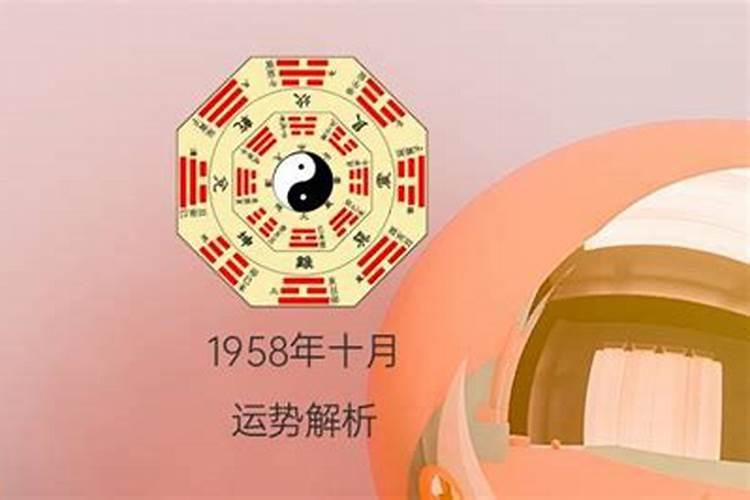 1981年的鸡男在2023年的运势怎么样