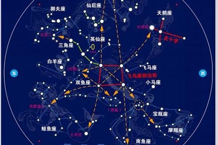 阳历十二月十四号是什么星座