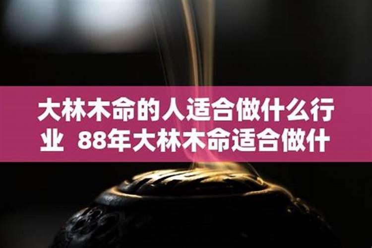 做梦梦见2只老虎是什么意思呢